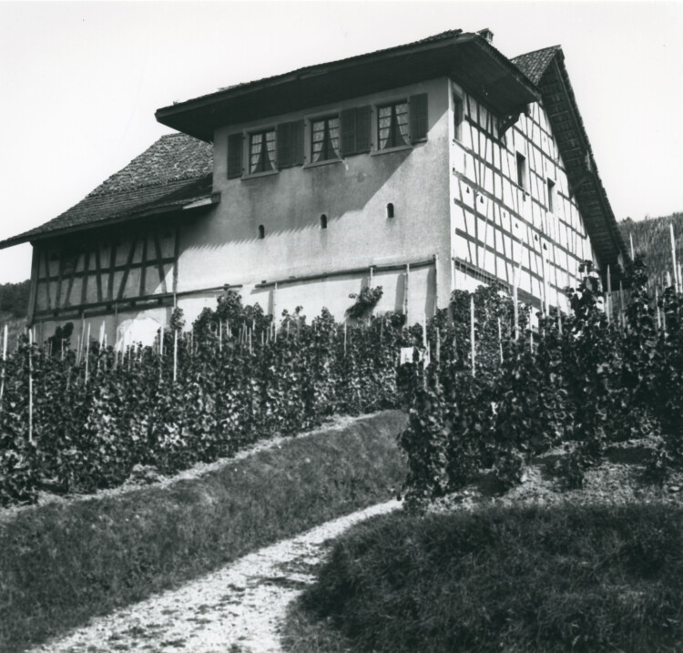 um 1905: Weinbergstrasse 130, Hegnertrotte 
